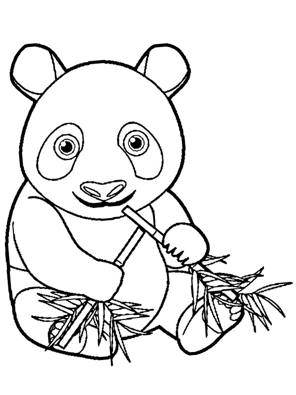Panda bonito a comer bambu - Pandas - Coloring Pages for Adults