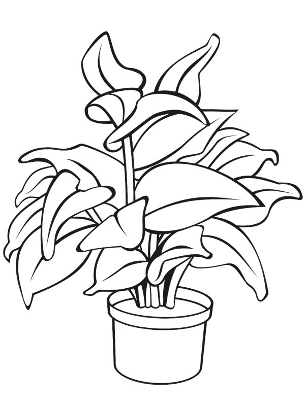 Potted plant Coloring page