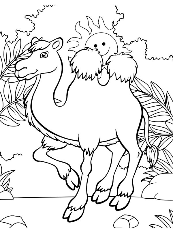 Cute camel Coloring page