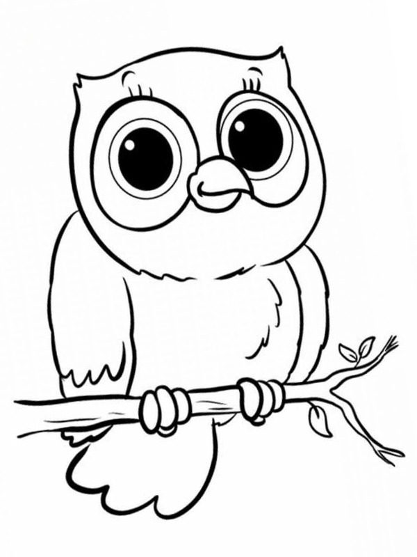 Cute owl Coloring page