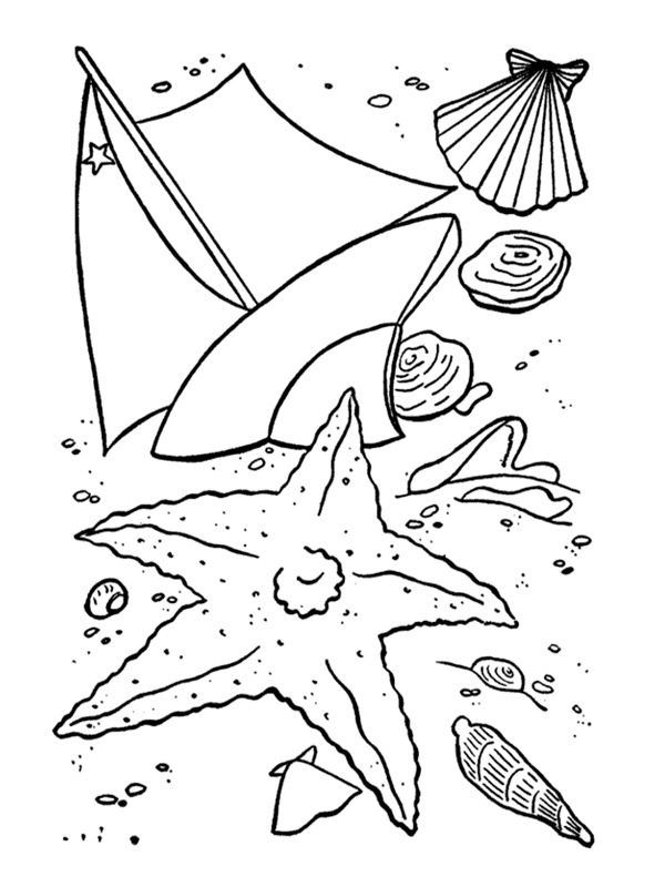 Shells Coloring page