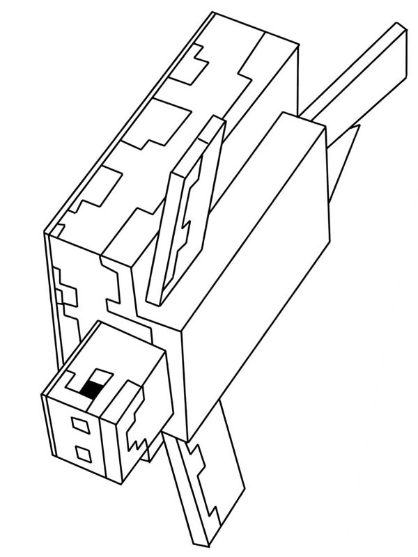 Turtle Minecraft Coloring page