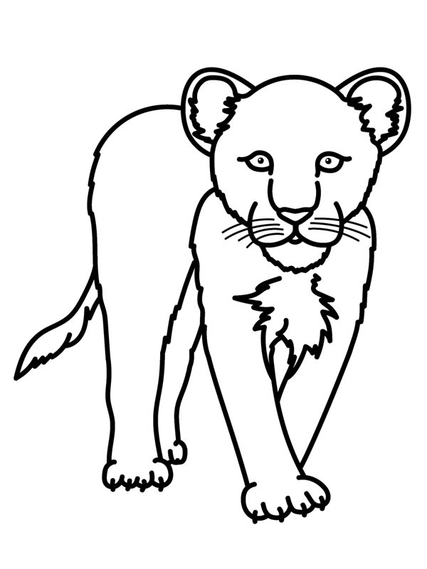 Snow leopard Coloring page