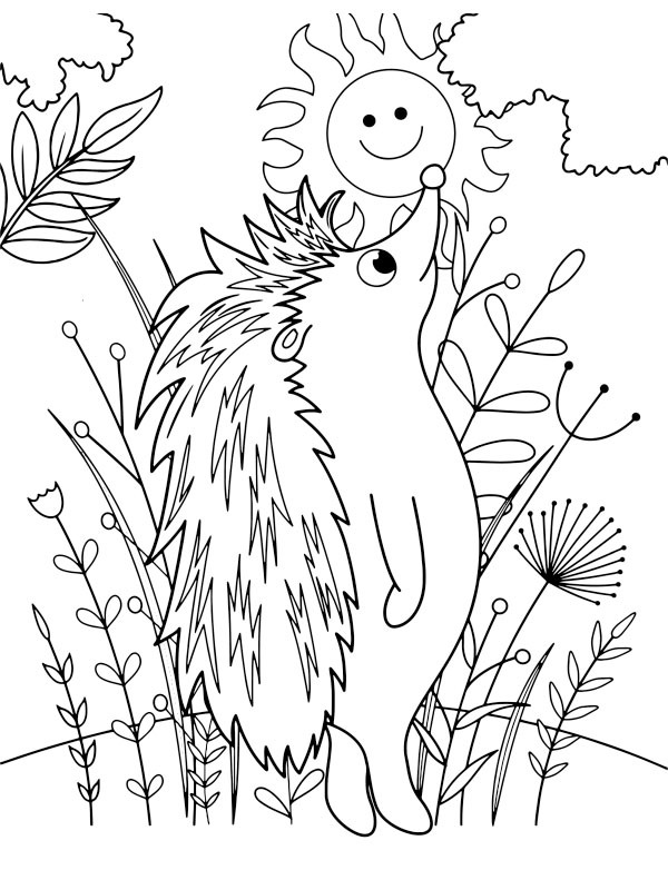 Standing hedgehog Coloring page