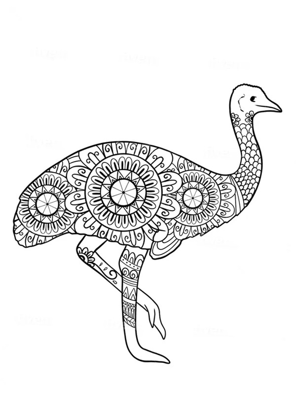 Ostrich mandala Coloring page