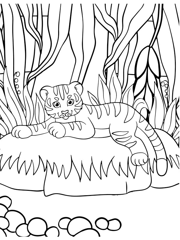 Tiger pup Coloring page