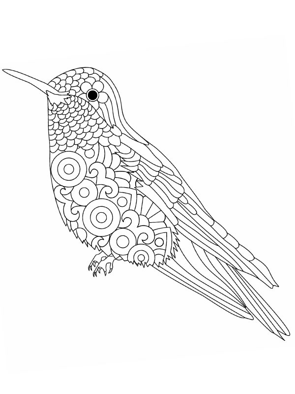 Bird mandala Coloring page