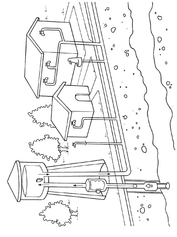 Water plant Coloring page